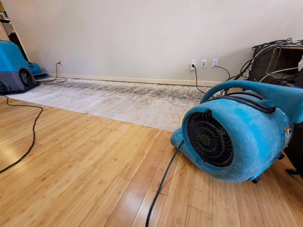 Professional Water Damage Repair technician working in Cranberry Township, PA